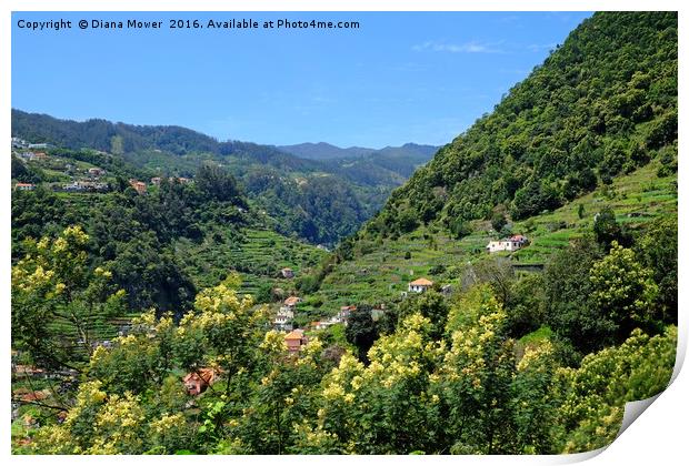 The Ribeira de Machico Valley, Madeira Print by Diana Mower
