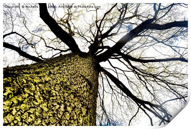 Stark tree  Print by michelle rook