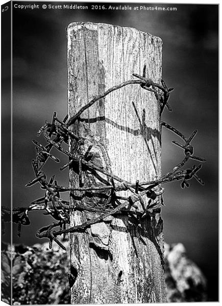 Wood and wire Canvas Print by Scott Middleton