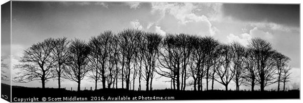 Trees on the skyline Canvas Print by Scott Middleton