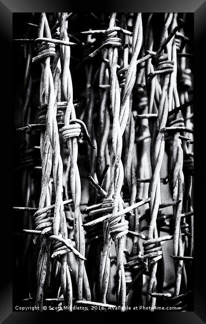 Barbed Wire Framed Print by Scott Middleton