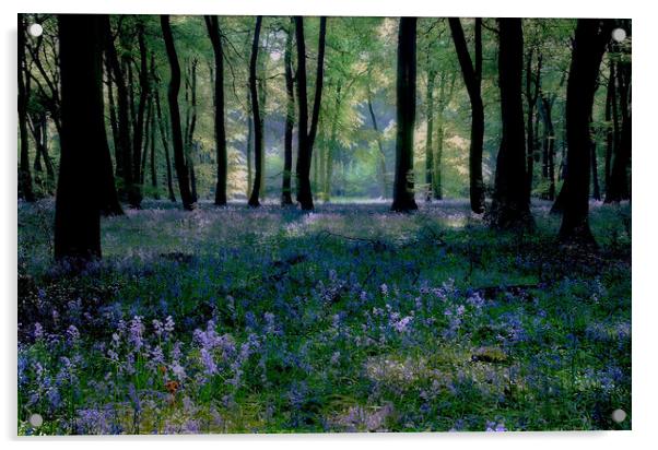 Bluebell Woods Acrylic by Ceri Jones