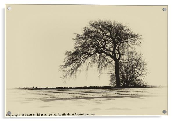Winter Landscape Acrylic by Scott Middleton