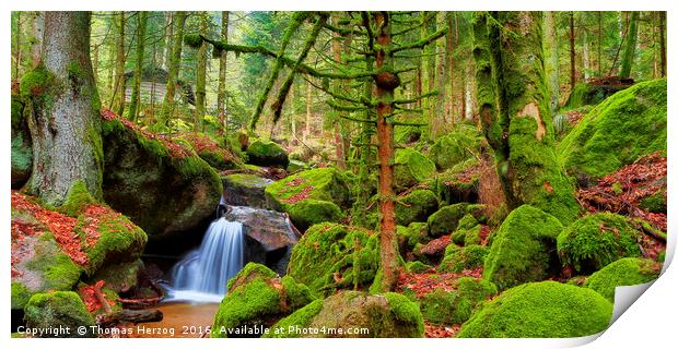 Black Forest waterfall Print by Thomas Herzog