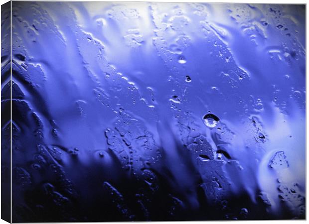 Water drops Canvas Print by Martine Boer - Reid