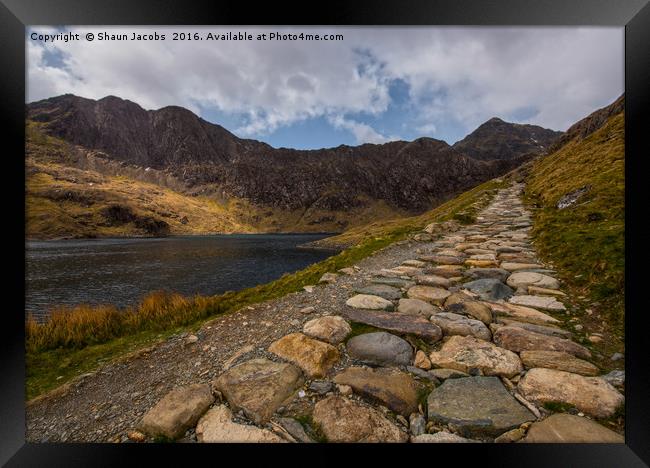 Pathway to Snowdon  Framed Print by Shaun Jacobs