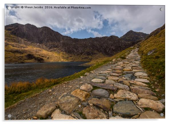 Pathway to Snowdon  Acrylic by Shaun Jacobs