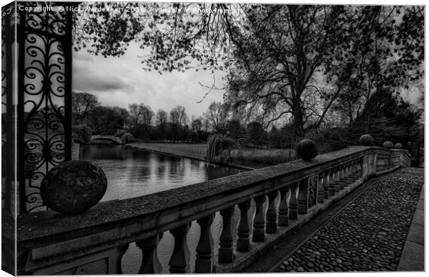 Dreaming by the River Camb. Canvas Print by Nick Wardekker