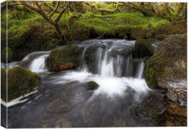 Summer Waterfall on Exmoor Canvas Print by Mike Gorton