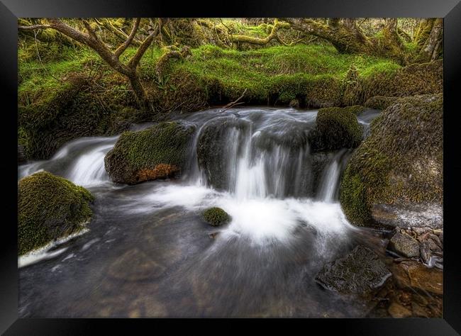 Summer Waterfall on Exmoor Framed Print by Mike Gorton