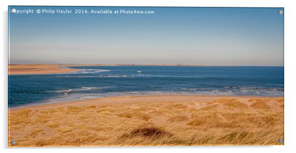 Over the Dunes lies the beautiful bay......... Acrylic by Naylor's Photography