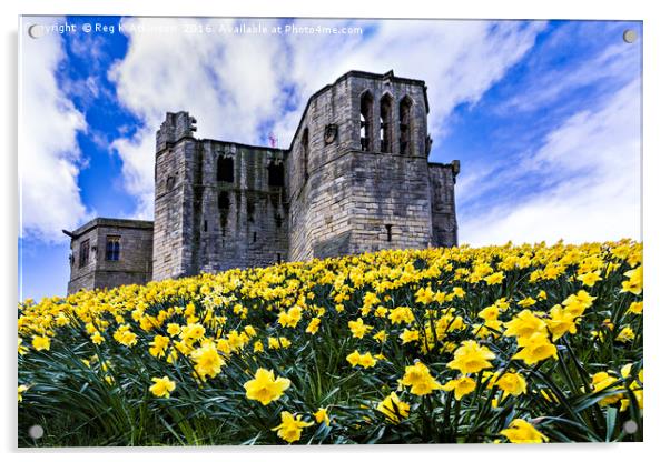 Spring at Warkworth Castle Acrylic by Reg K Atkinson