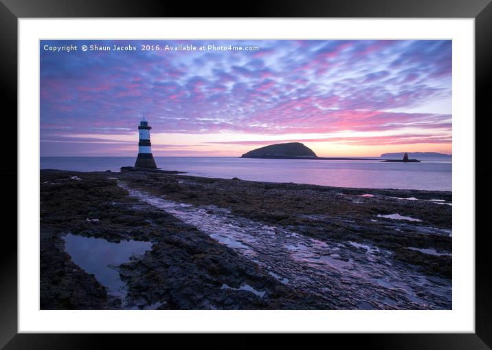 Penmon lighthouse  Framed Mounted Print by Shaun Jacobs