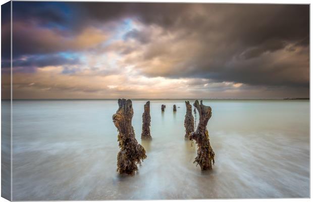Ryde House Jetty Canvas Print by Wight Landscapes