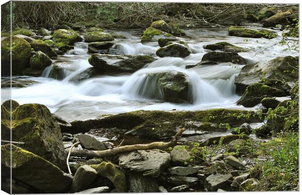 a rocky stream on exmoor Canvas Print by graham young