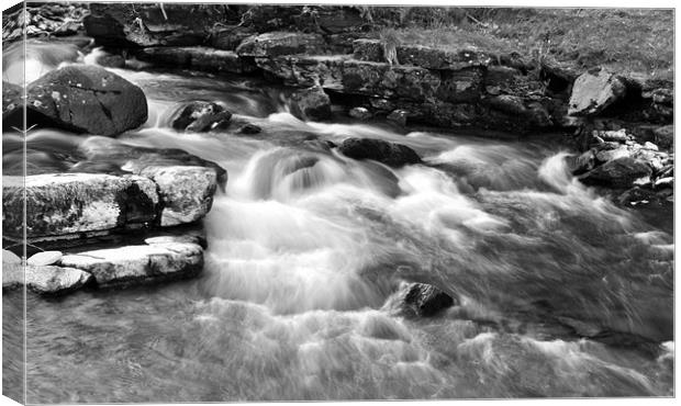 The East Lyn River at Lynmouth, b+w Canvas Print by graham young