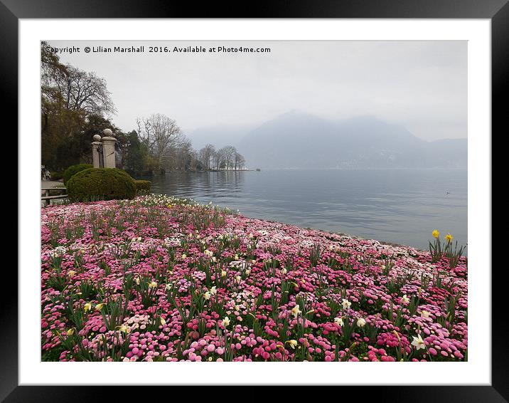 Parco Civico Lugano.  Framed Mounted Print by Lilian Marshall