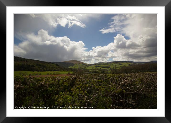 Brecon Beacons national park  Framed Mounted Print by Sara Messenger
