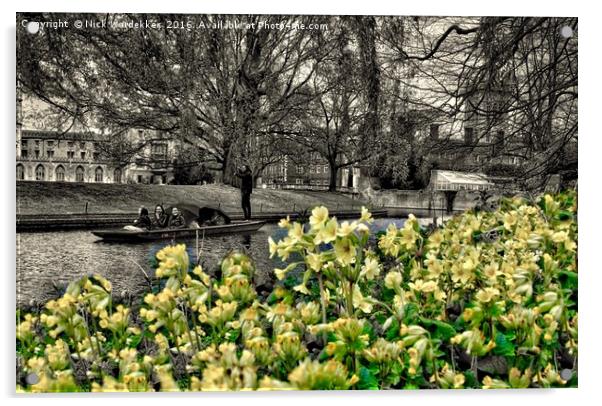 Cambridge Springtime Acrylic by Nick Wardekker