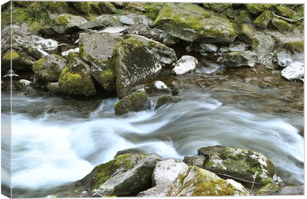 an exmoor stream Canvas Print by graham young