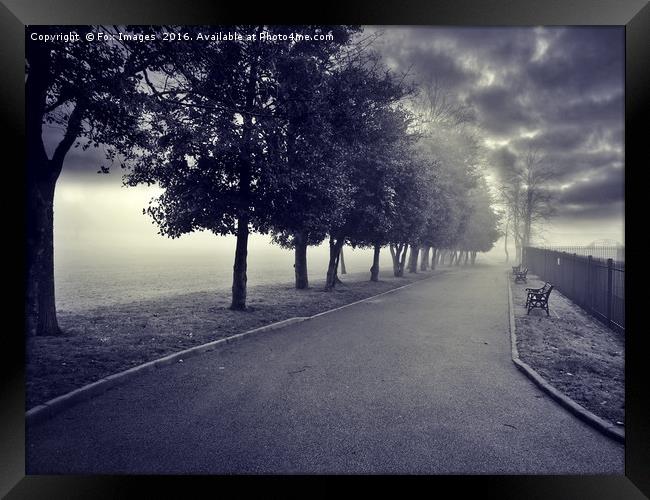 Foggy in the park Framed Print by Derrick Fox Lomax