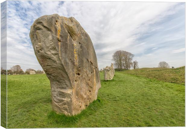 Monoliths from the large prehistoric stone circle  Canvas Print by Mark Godden