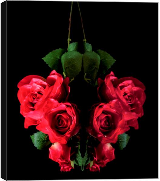Love of roses  Canvas Print by Jonathan Thirkell