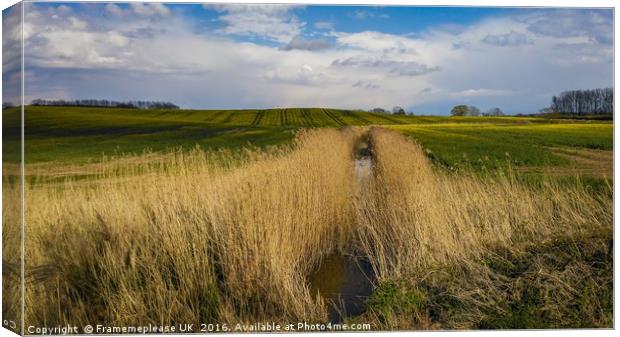 Jewel of the Weald  Canvas Print by Framemeplease UK