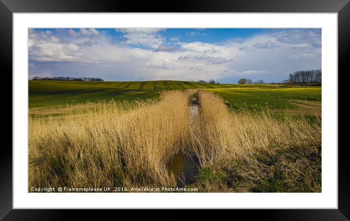 Jewel of the Weald  Framed Mounted Print by Framemeplease UK