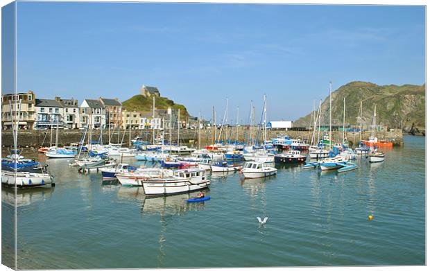 Ilfracombe Harbour, North Devon Canvas Print by graham young