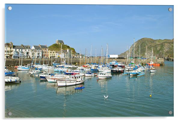 Ilfracombe Harbour, North Devon Acrylic by graham young