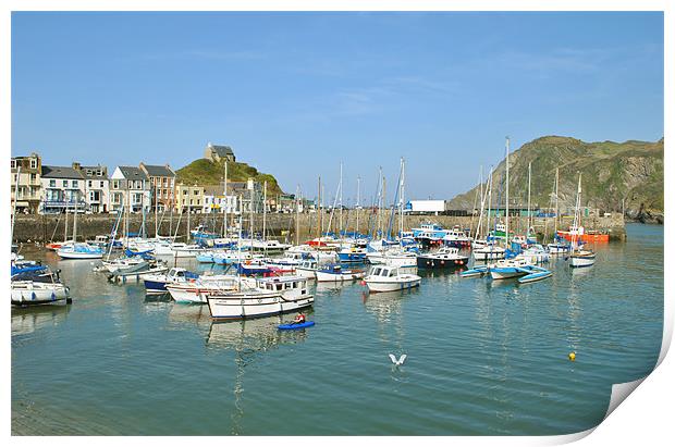 Ilfracombe Harbour, North Devon Print by graham young