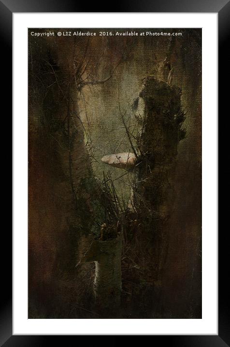Faery Woodland Scene Framed Mounted Print by LIZ Alderdice