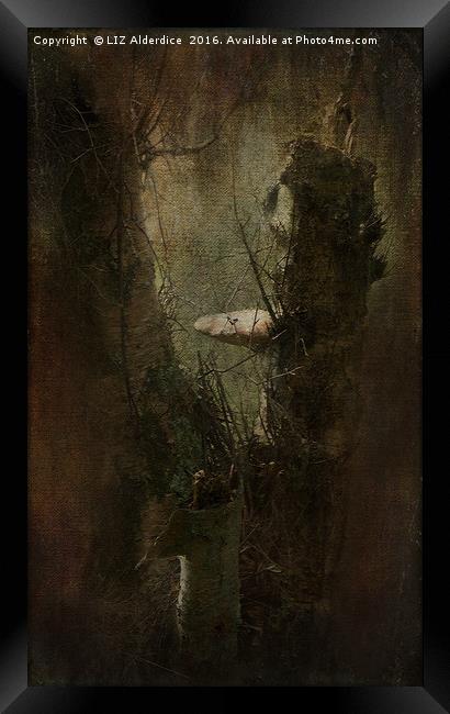 Faery Woodland Scene Framed Print by LIZ Alderdice