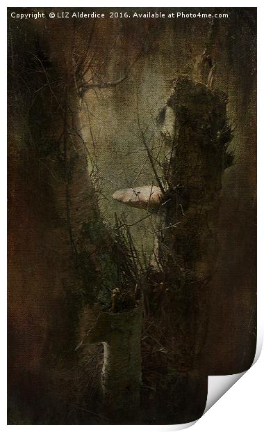 Faery Woodland Scene Print by LIZ Alderdice