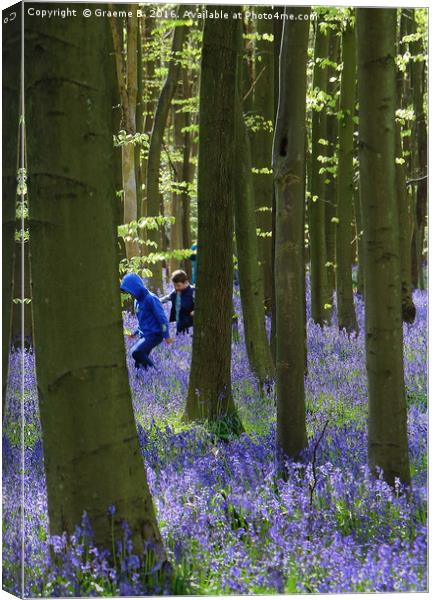 Playing in Bluebell Woods Canvas Print by Graeme B