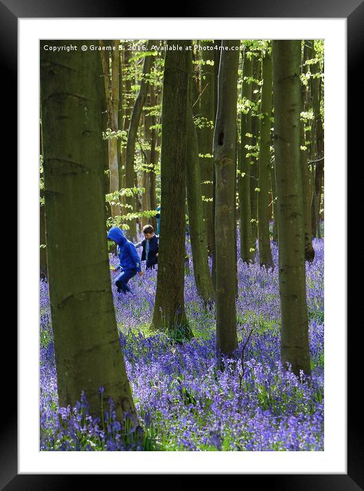 Playing in Bluebell Woods Framed Mounted Print by Graeme B