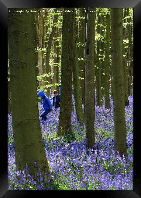 Playing in Bluebell Woods Framed Print by Graeme B