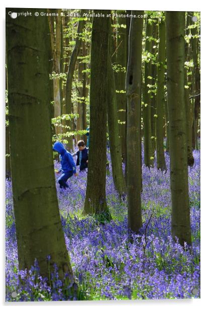 Playing in Bluebell Woods Acrylic by Graeme B