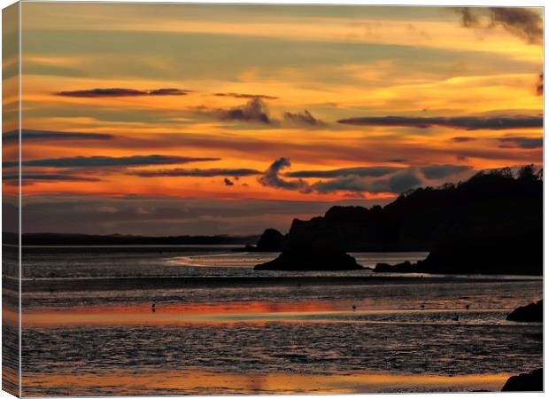 Coastal Sunset           Canvas Print by Andy Smith