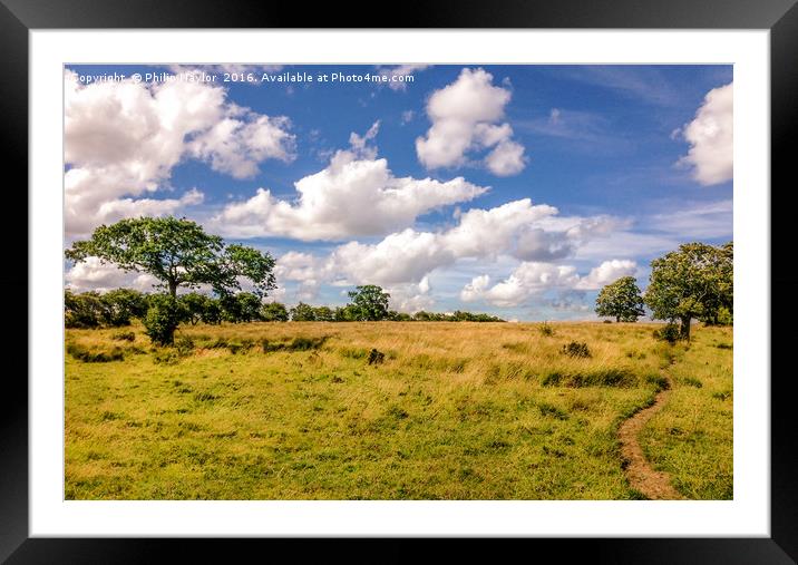 Rush Hour........... Framed Mounted Print by Naylor's Photography