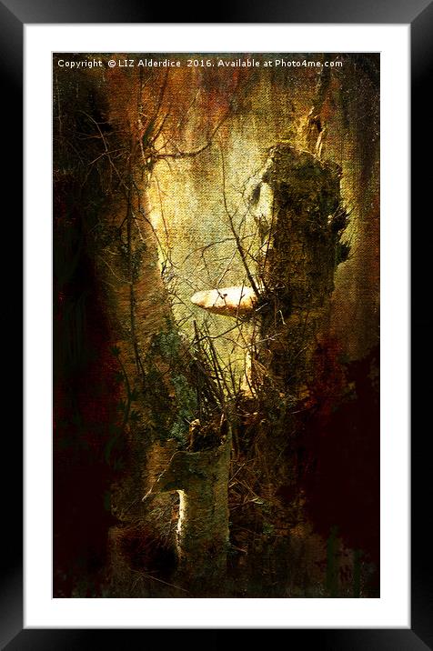 Woodland Fantasy Framed Mounted Print by LIZ Alderdice