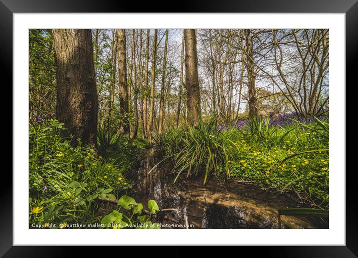 Spring At The Wooded Stream Framed Mounted Print by matthew  mallett