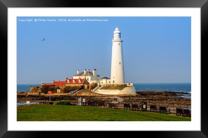  St Marys Island and Lighthouse  Framed Mounted Print by Naylor's Photography
