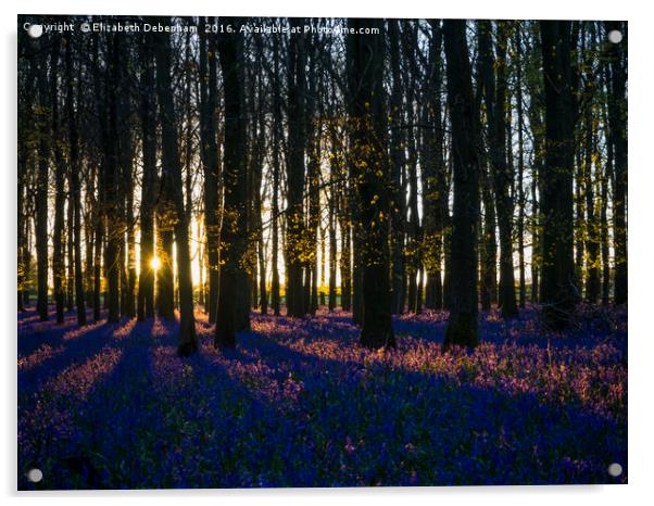 Evening in Ashridge Bluebells Acrylic by Elizabeth Debenham