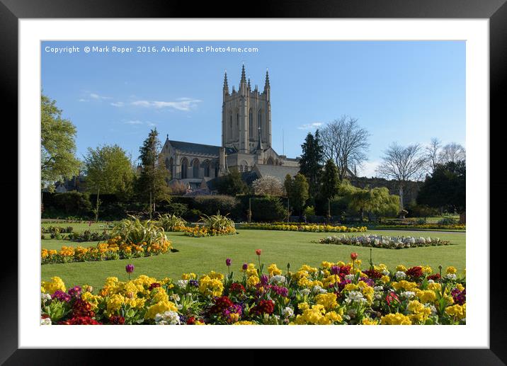 St Edmundsbury Cathedral with flowers Framed Mounted Print by Mark Roper
