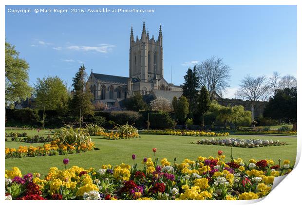 St Edmundsbury Cathedral with flowers Print by Mark Roper