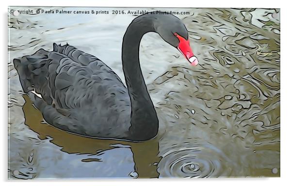 Black Swan at Dawlish Acrylic by Paula Palmer canvas