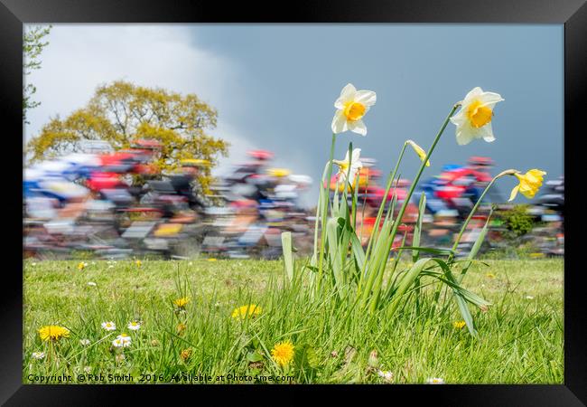 Tour de Yorkshire: Beyond the Pain Barrier Framed Print by Rob Smith