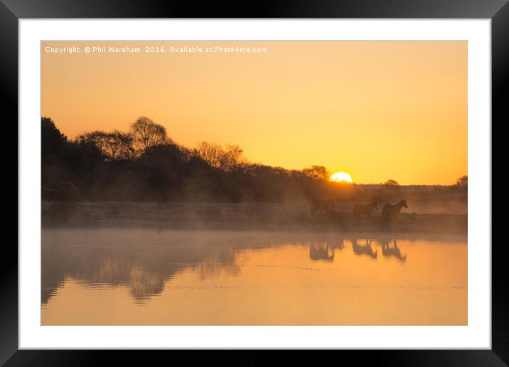 Ponies at Dawn Framed Mounted Print by Phil Wareham